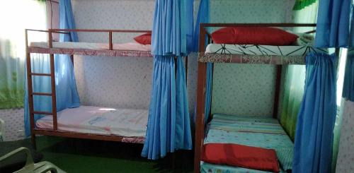 Naga Maison | Quickshape/Quickshield Homestay