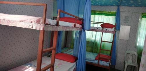 Naga Maison | Quickshape/Quickshield Homestay