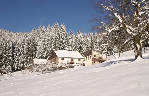 Cleurie Chalet De Ski | Gîte 3* au calme, en lisière de forêt, vue sur la vallée de la Moselotte
