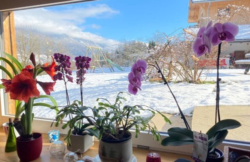 Chatillon-sur-Cluses Maison | Gite calme et spacieux à la montagne