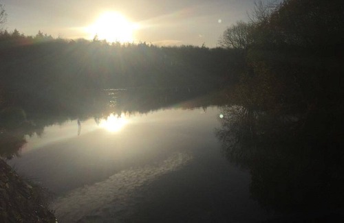 Adare Appartement | Retraite tranquille et confortable à Irish Coutryside