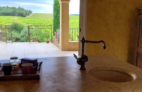 Mondragon Maison | Grande villa avec piscine chauffée et dépendances sur un domaine viticole de22ha