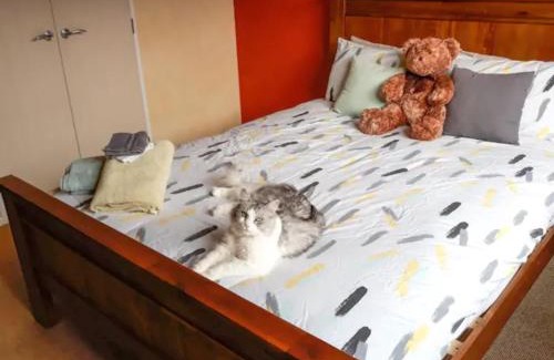 Paraparaumu Beach Maison | Quiet homestay, private room with own bathroom