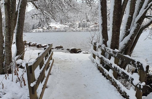 Aumontzey Maison | Quiet house 15 minutes from Gerardmer, sleeps 8, pets allowed