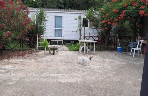 Sainte-Marie-la-Mer Maison | Quiet mobile home with garden & private terrace, close to the beach.
