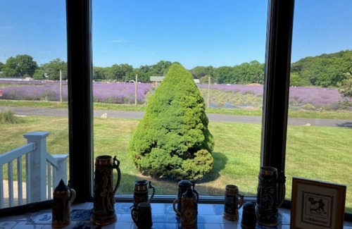 East Marion Maison | Quiet Oasis Near Greenport and Safe Harbor Marina with Views of Lavendar Farm