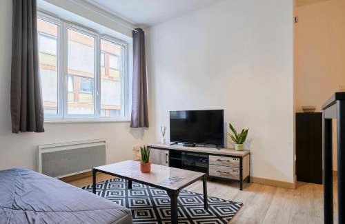 Vauban Esquermes Appartement | Quiet one-bedroom flat close to the metro