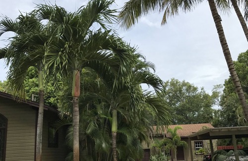 Altamont Manor Cottage | CHARMANT! GREEN PALM COTTAGE - SPACIEUX, PORCHE PRIVÉ / ÉCRAN! CLEAN & COMFY!