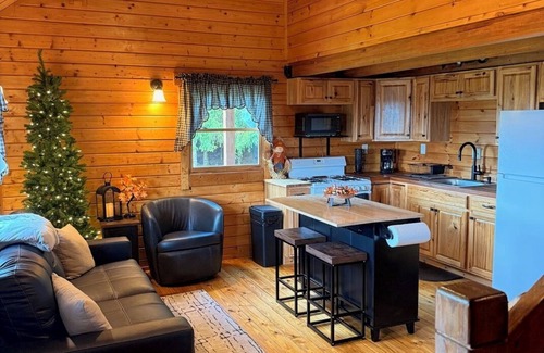 Delevan Cabine | Quiet Secluded Hilltop Log Cabin on a Gravel Road