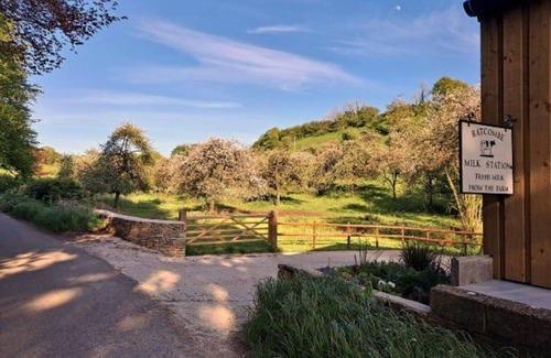 Batcombe Maison | Quiet Somerset Country Home Great Location, Family and pet Friendly