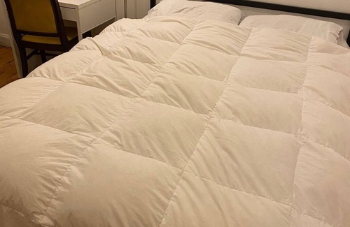 Cypress Hills Appartement | Quiet, spacious, private room in Bushwick, BK!