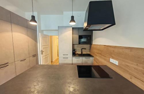 Zizkov Appartement | Quiet Studio in Hip Zizkov