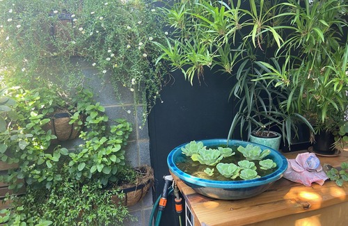 Coburg Appartement | Quiet Urban Oasis. Central to both City and Parkland. Easy Ground floor access
