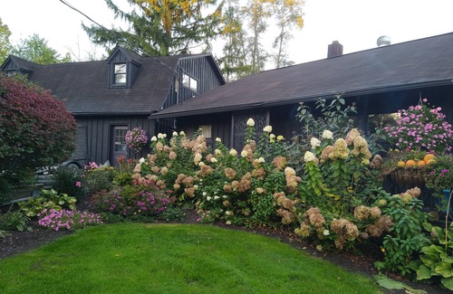 Camptown Appartement | Quiet, whimsical country apartment with a private deck. Pets welcome.
