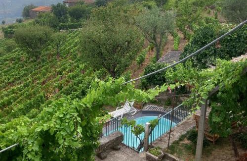 Lamego Maison | Quinta Casa Do Quintal