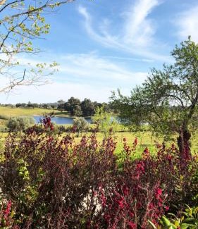 Castelo Branco Maison | Quinta da Alma Cheia