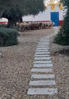 Ferreira do Alentejo Hôtel | Quinta da Chaminé