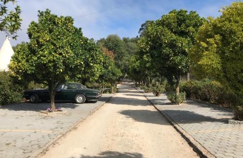 Alquerubim Maison | Quinta da Fontoura