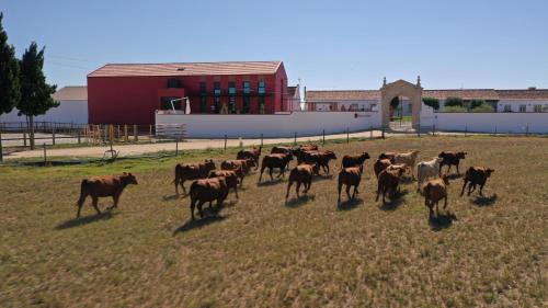 Almeirim Maison | Quinta da Gafaria