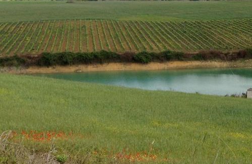 Azambuja Maison | Quinta da Lapa