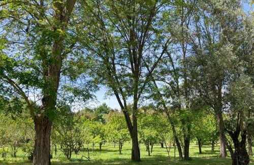 Nossa Senhora do Pranto Maison | Quinta da Mata de Baixo