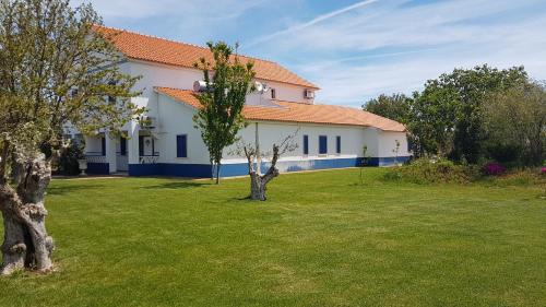 Borba Villa | Quinta da Paz
