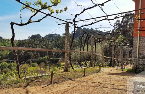 Bico Cottage | Quinta da Vinagra - maison couple