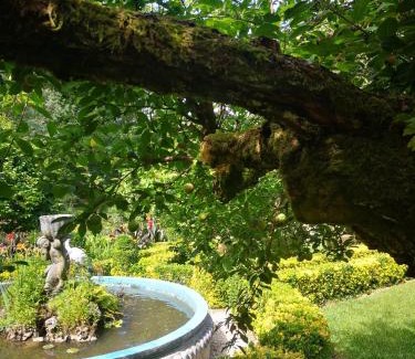 Albergaria-a-Velha Maison | Quinta das Águias