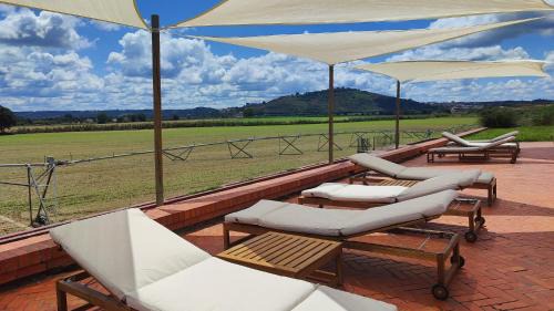 Alferrarede Maison | Quinta das Arribas