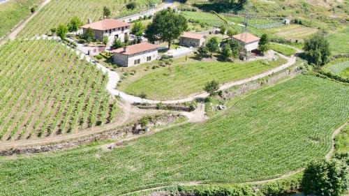 Pevidem Maison | Quinta de Carvalhal - Casa da Vinha