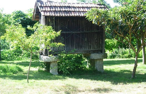 Vila Cha do Marao Maison | QUINTA DE RIBAS - LE VERGER - PETITE GITE PLEINS DE CHARME