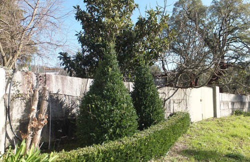 Agueda Villa | Quinta de Santa Maria - ou ar saudável da Serra!