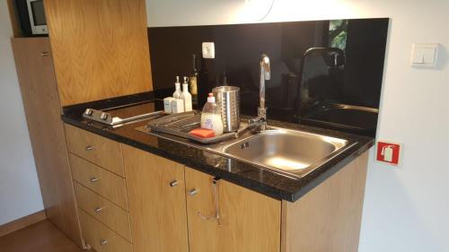 Lamego Appartement | Quinta Do Acipreste (Antiga Quinta Da Torre)