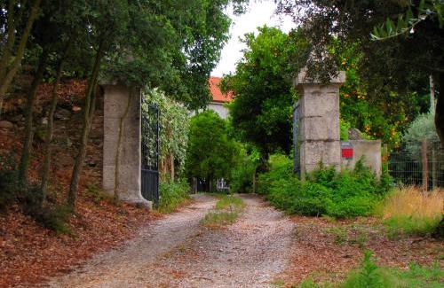 Nossa Senhora do Pranto Maison | Quinta do Cerquito