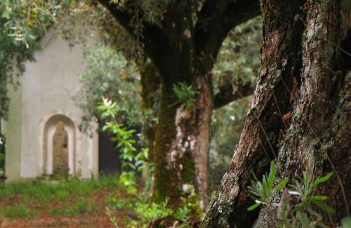 Nossa Senhora do Pranto Maison | Quinta do Cerquito