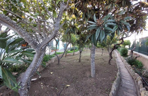 Vale de Covo Villa | Quinta do Farol Poolvilla mit 2 Schlafzimmern in Carvoeiro