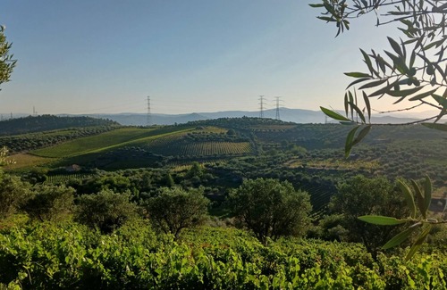 Armamar Cottage | Quinta do Outono, swimming pool and vineyards. 20 people