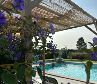 Grandola Maison | Quinta do Pica-Pau Amarelo