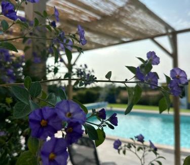 Grandola Maison | Quinta do Pica-Pau Amarelo