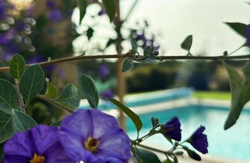 Grandola Maison | Quinta do Pica-Pau Amarelo