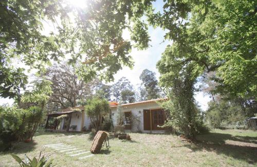 Alquerubim Maison | Quinta do Vale Grande