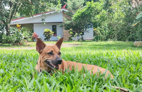 Penjamo Maison | Quinta Rincon Silvestre w/AC, WiFi & pool in lovely Peñas Blancas near V. Arenal
