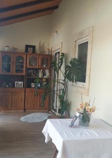 Porto de Mos Maison | Quintal do Ti Zaquiel