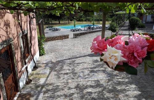 Oliveira De Azemeis Maison | Quintinha de Santiago
