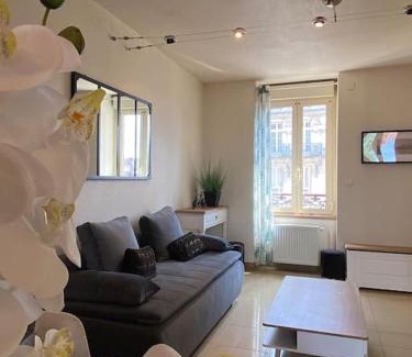 Montlucon Appartement | Résidence Investar appartement 4 Superbe T2 meublé, Gare 10mn à pied