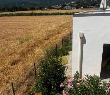 Penta-di-Casinca Appartement | Résidence Petra Paolina