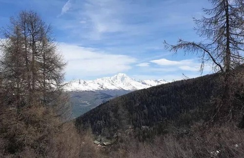 Plagne 1800 Appartement | Studio Sélection (4 Personnes)