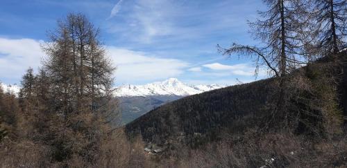 Plagne 1800 Appartement | Résidence Plagne Lauze - maeva Home - Studio moderne vue village 4 personnes - Sélection - super Home MAE-9804