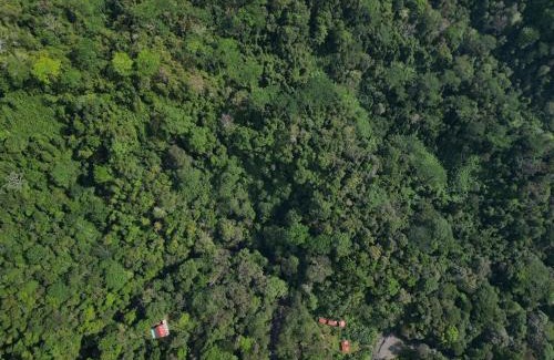 Quebrada La Gamba Cabine | Río Verde Ecolodge