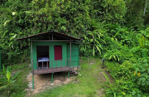 Quebrada La Gamba Cabine | Río Verde Ecolodge